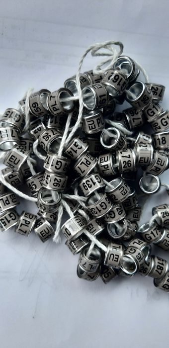 Obrączki  26 r na gołębie, dla gołębi 7,8,9,10,11,12,13 fi pocztowe,DV