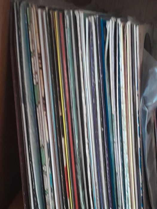 Вінілові музичні платівки