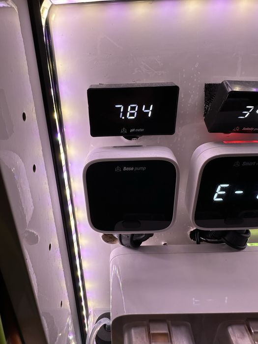 Reef Factory pH Meter WiFi – używany, komplet z płynami kalibracyjnymi