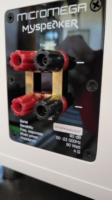 Micromega myamp wzmacniacz I kolumny