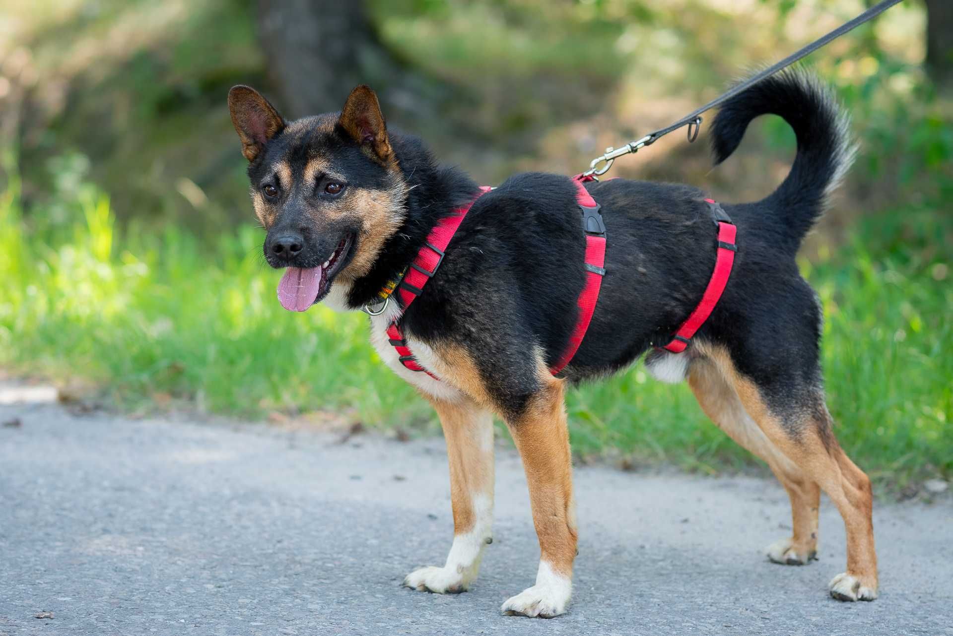 ARLO - zaczynam od nowa z Tobą!