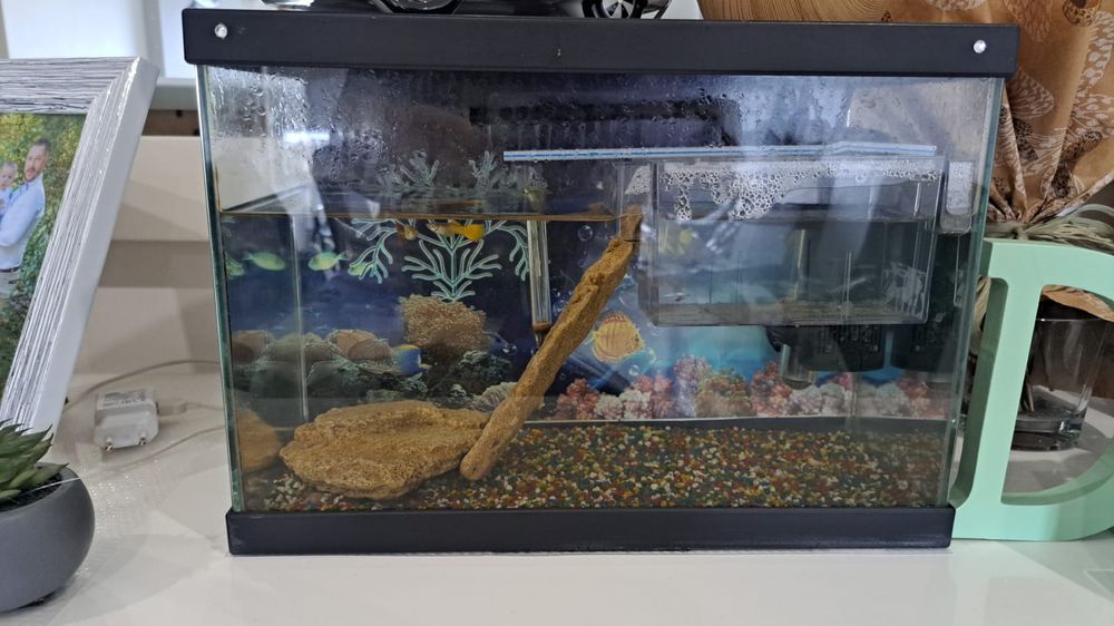 Aquário pequeno de 15 litros