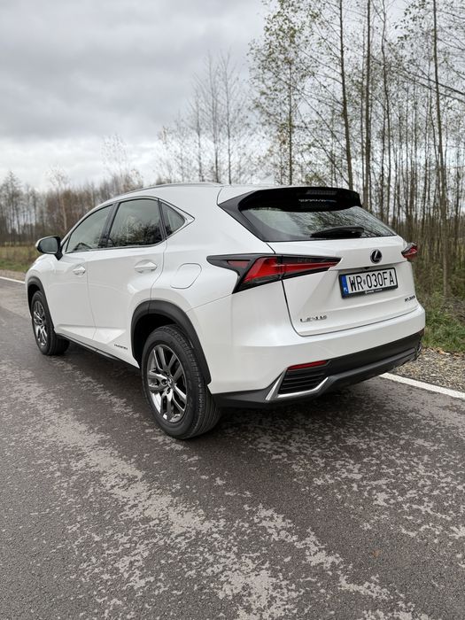 Lexus NX300H/Salon Polska/ jeden właściciel/ igła x6 x4 rav4 jeep