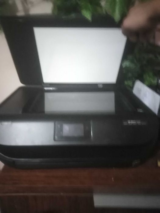 Drukarka hp enevy 4520