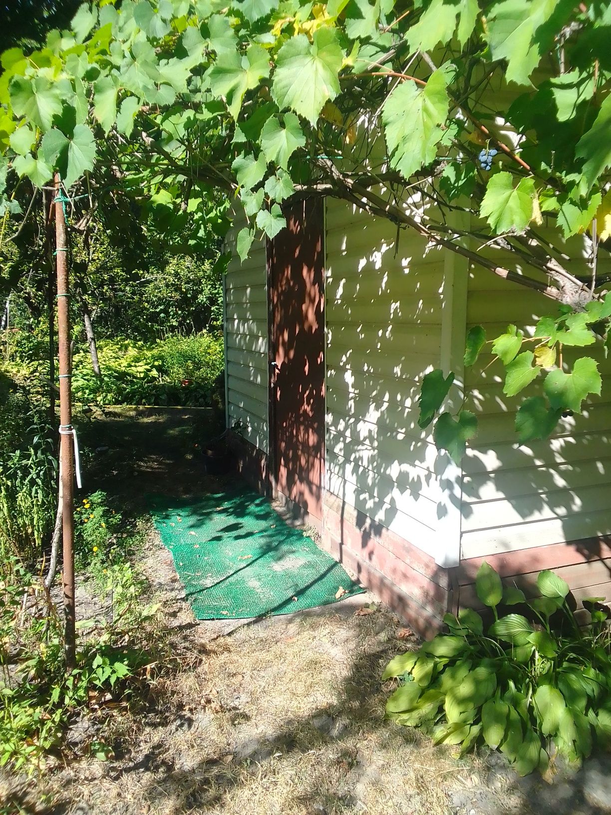 Продам дом.Старі Петрівці.1 лінія від моря.