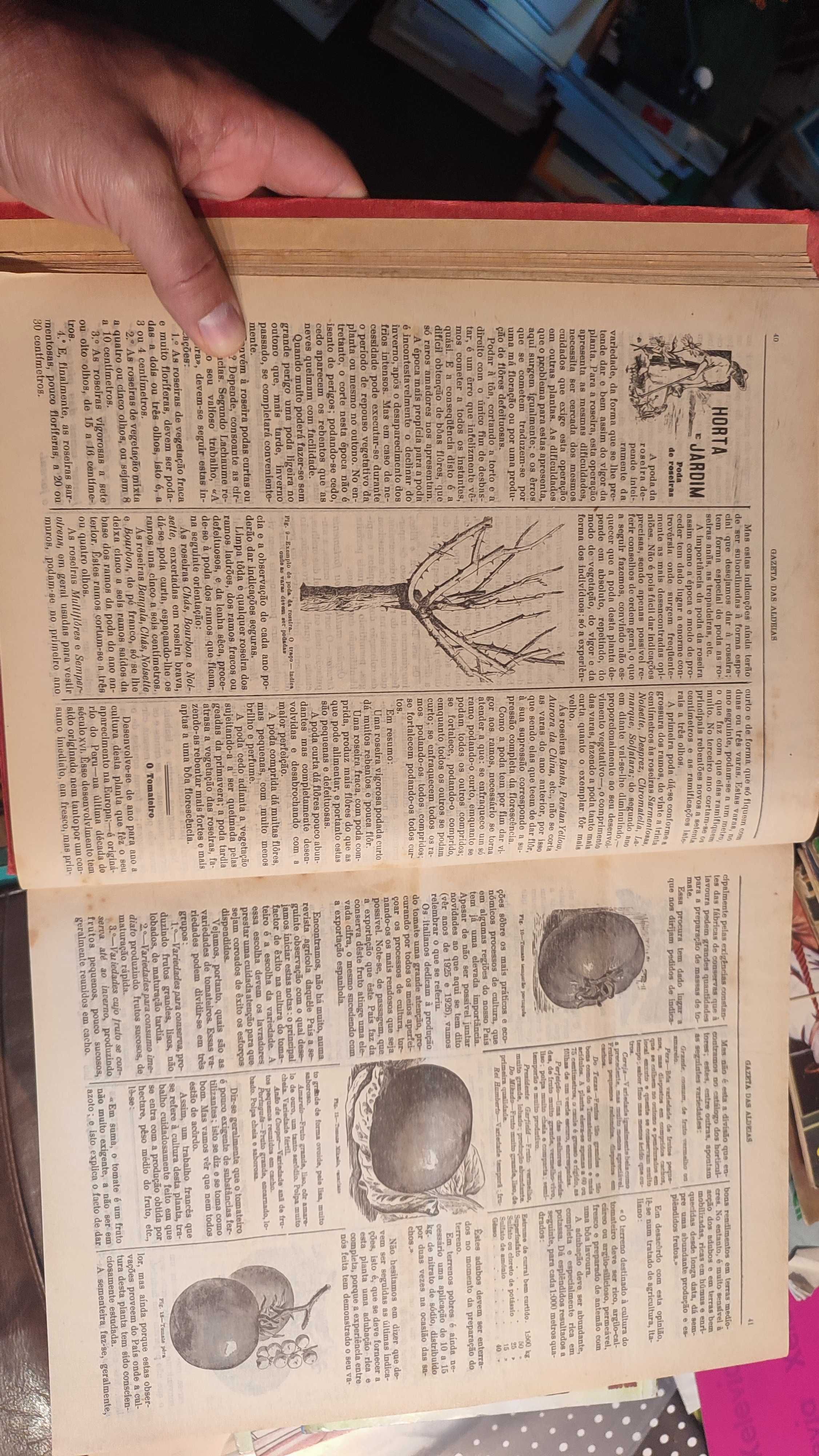 Gazeta das Aldeias - Anos 1928 e 1929