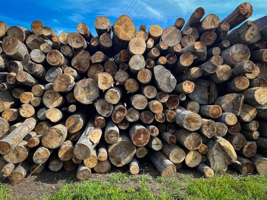 Drewno kominkowe opałowe DĄB BUK BRZOZA SOSNA OLCHA Transport GRATIS