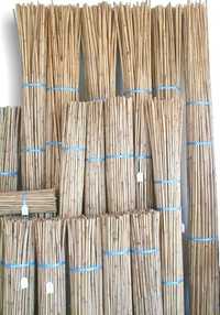 Conjunto de 100 canas de bambu 120x1,5cm