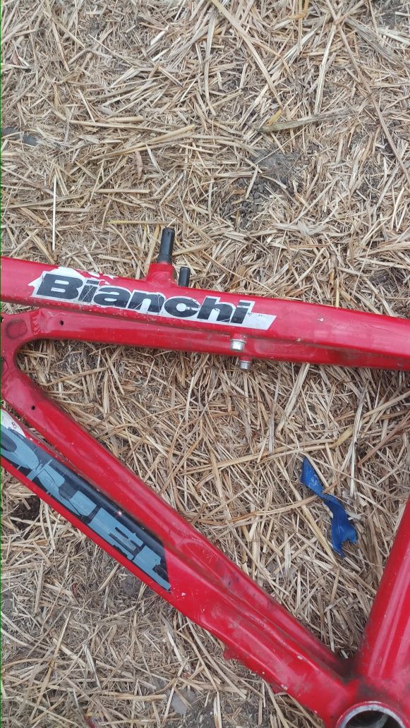 Рама алюминиевая от велосипеда Bianchi  dino