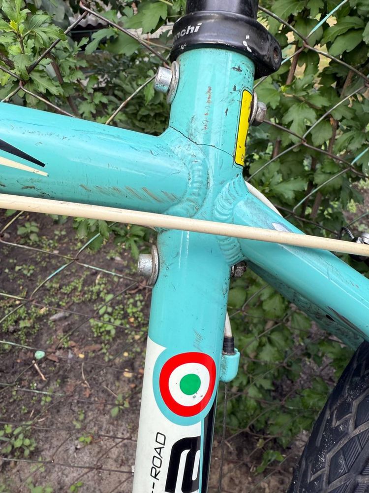 Kuma bianchi 4600