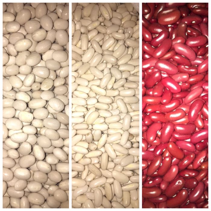 Продам домашнюю фасоль