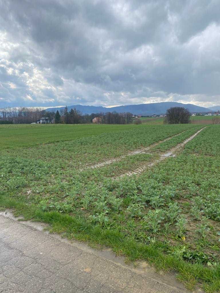 Działka budowlana w Bulowicach