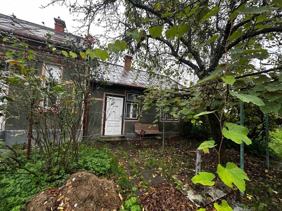 Продається будинок у Солотвино