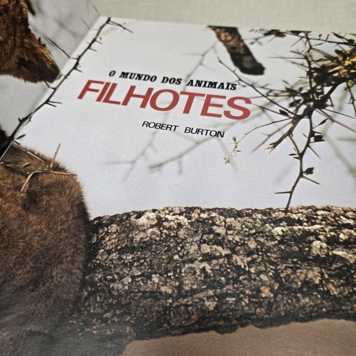 Livro O Mundo Dos  Animais FILHOTES