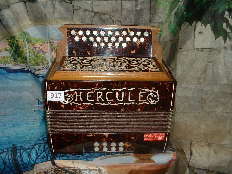 Concertina para venda N, 917