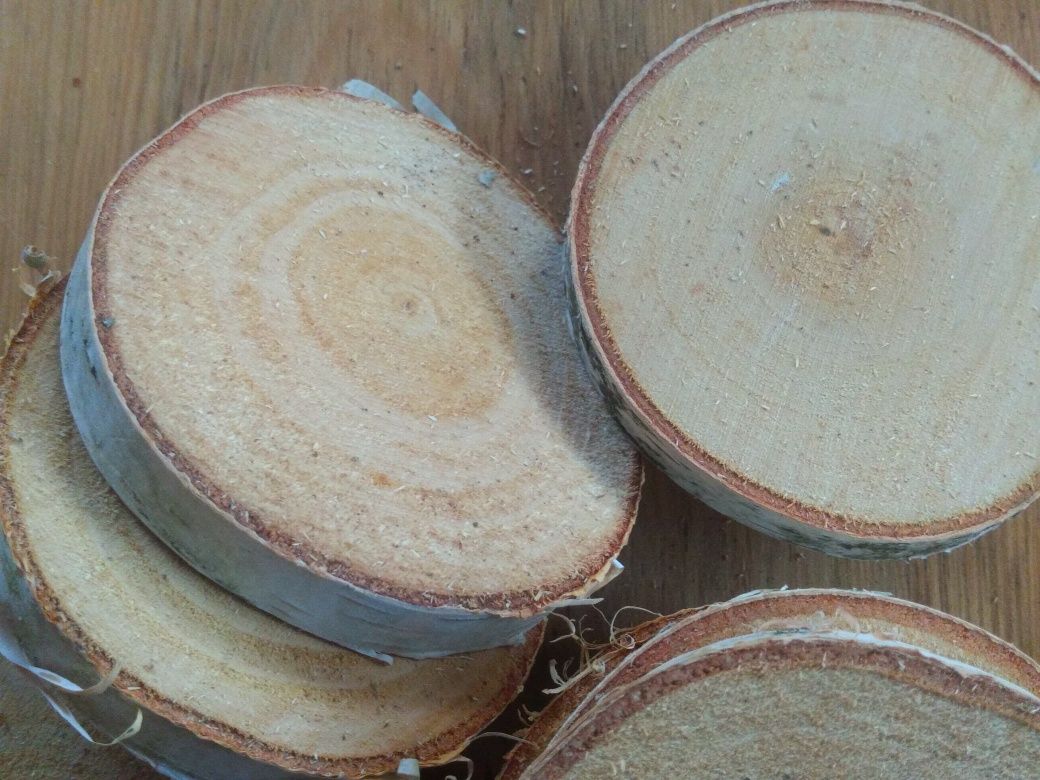 Plastry drewna brzozowego krążki brzozy szlif śr ok 13 cm