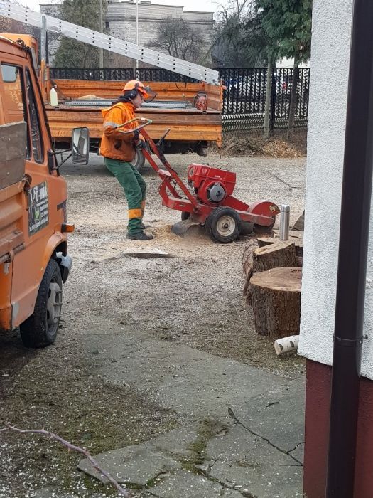 Wycinka i pielęgnacja drzew Usługi mulczerem leśnym wynajem podnośnika