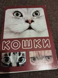 Набор открыток кошки