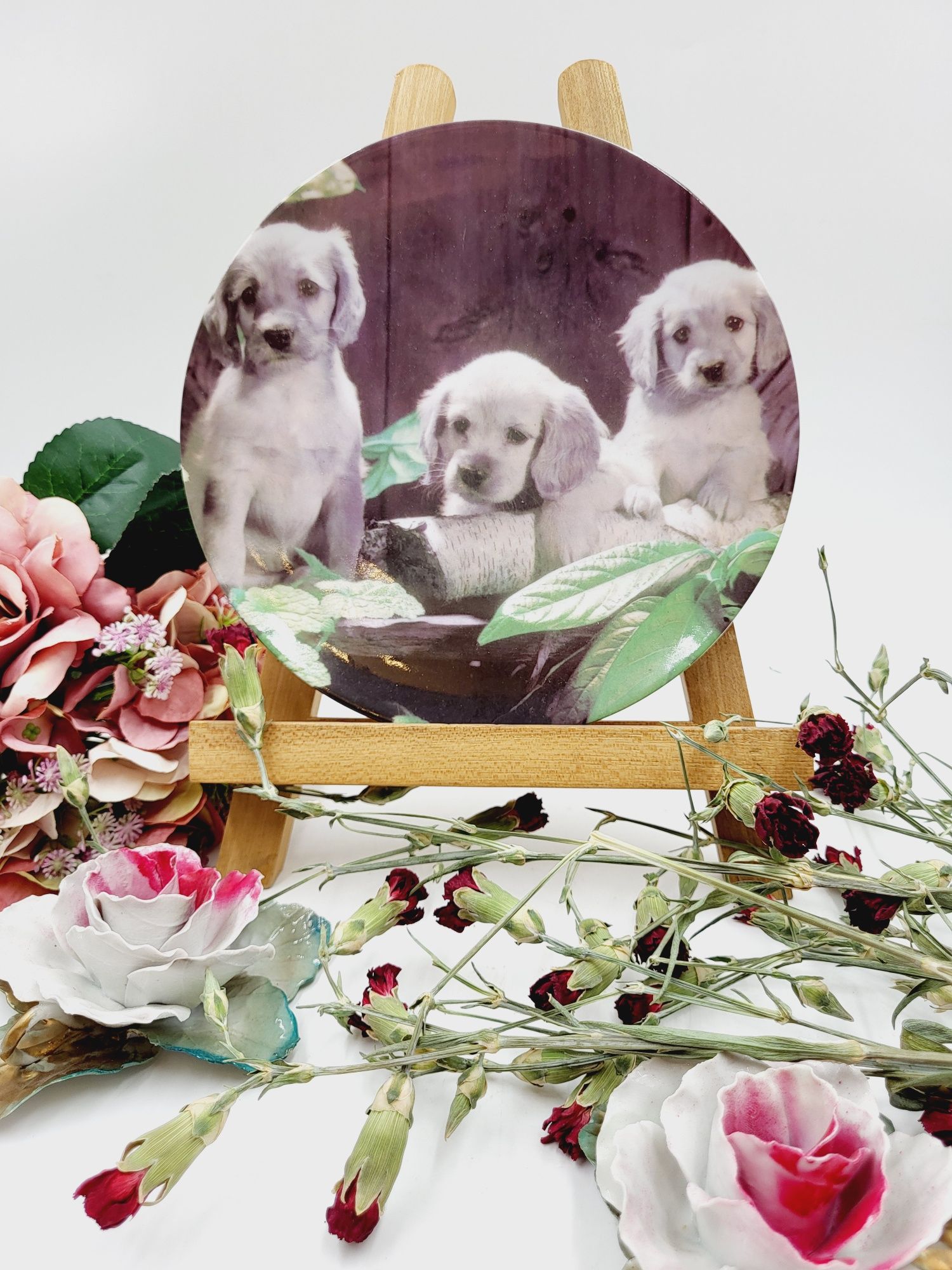 Ładny dekoracyjny talerz z motywem psów