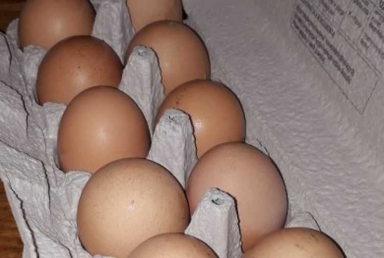 Jajka, jaja wiejskie ekologiczne z wolnego wybiegu