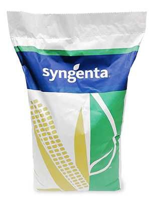 Kukurydza SY Vitamin Syngenta na kiszonkę. Promocja 10 + 1