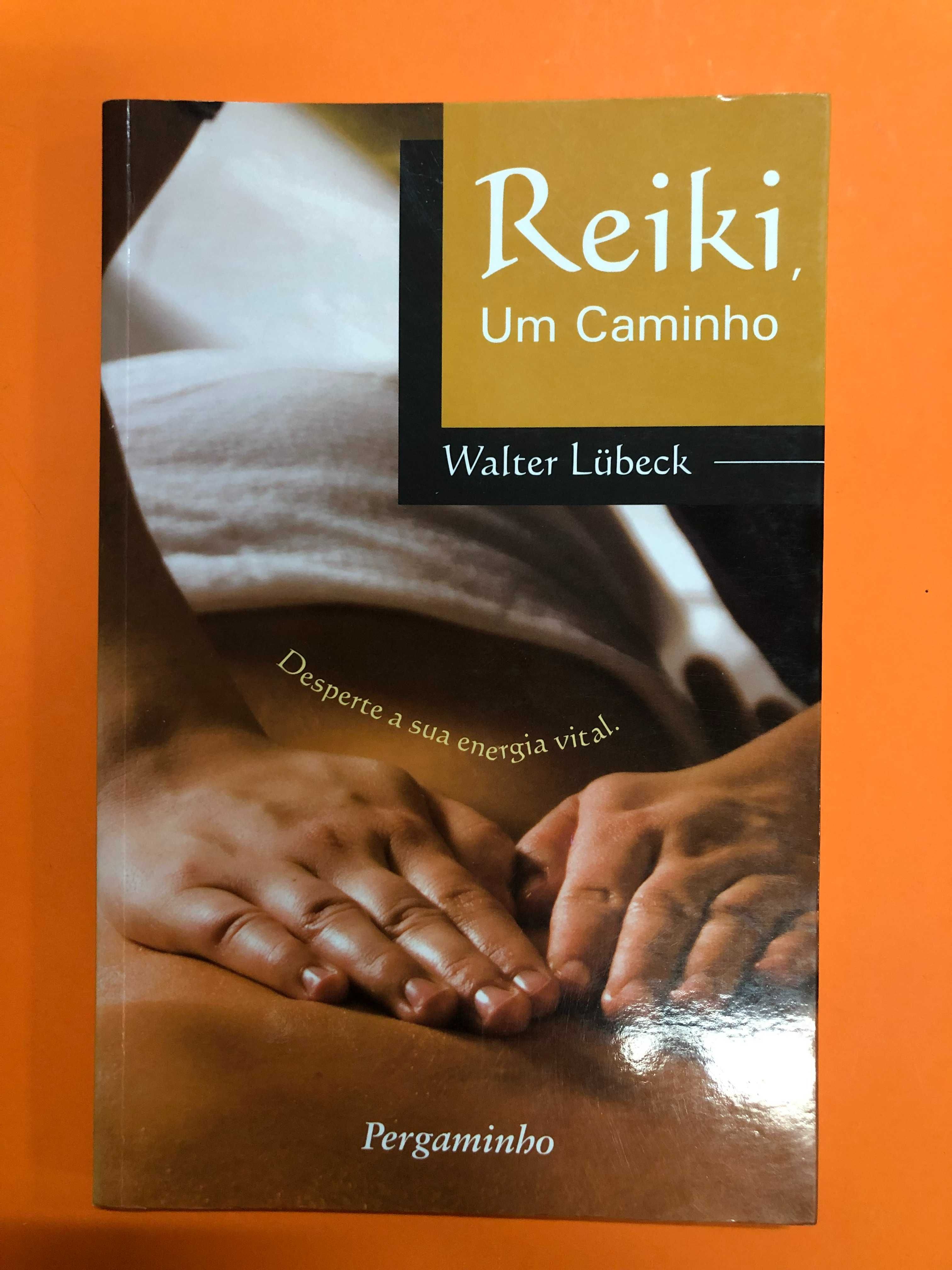 Reiki, um caminho - Walter Lubeck