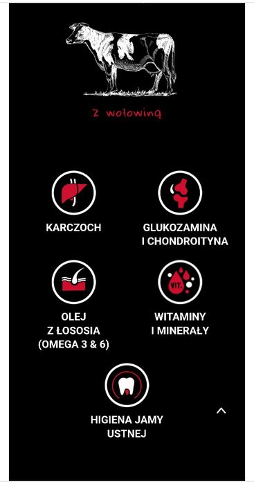 Sucha karma dla psa Tasty Dogs Life z wołowiną 12kg + gratis