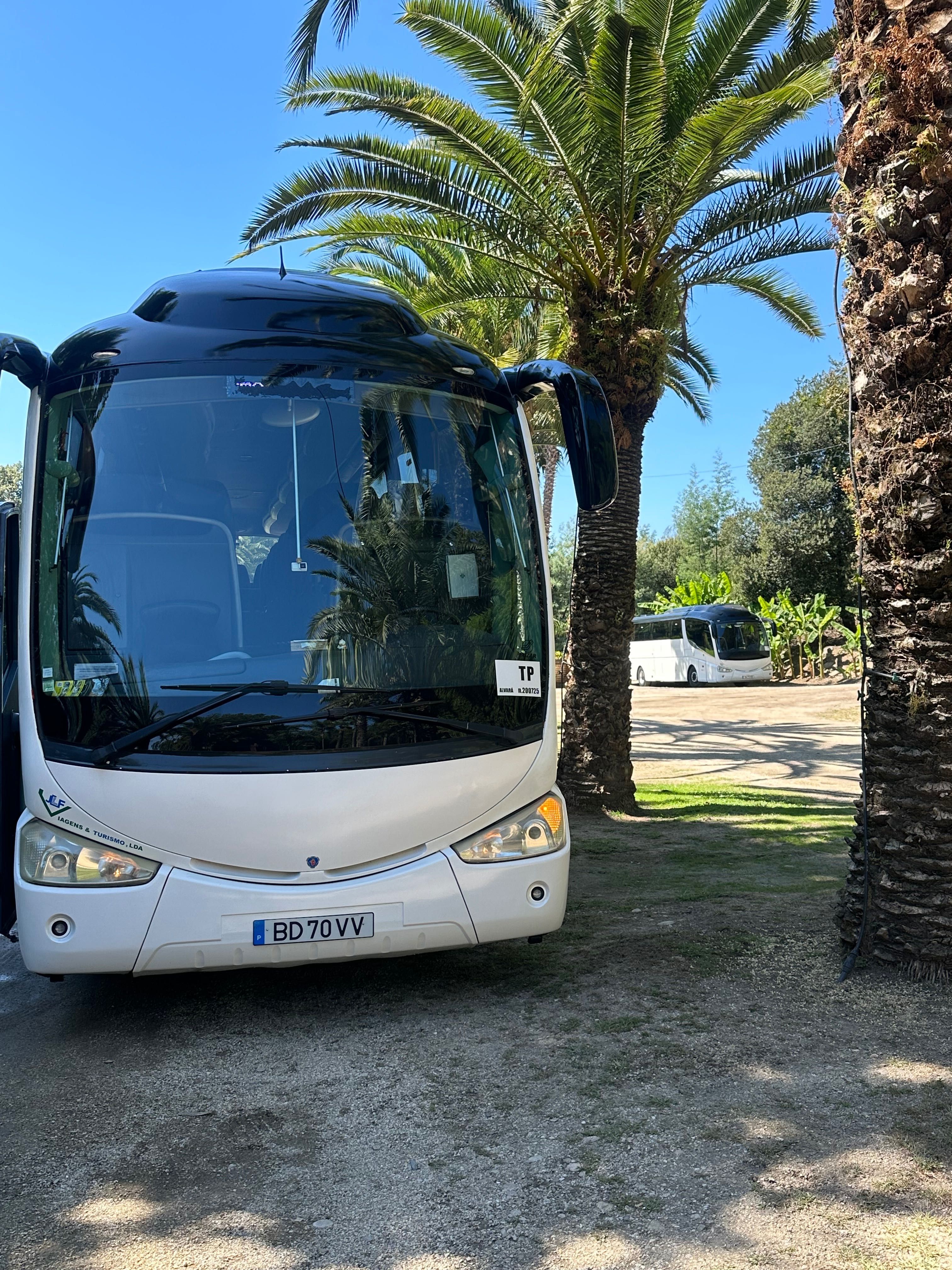 Aluguer de autocarros de turismo minibus