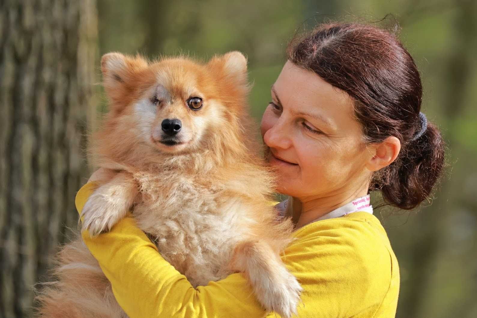 SZPICU - ok. 3-letni, bez OCZKA< w typie szpica,lubi KOTY. [FILMIK}