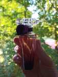 Tresor Midnight Rose