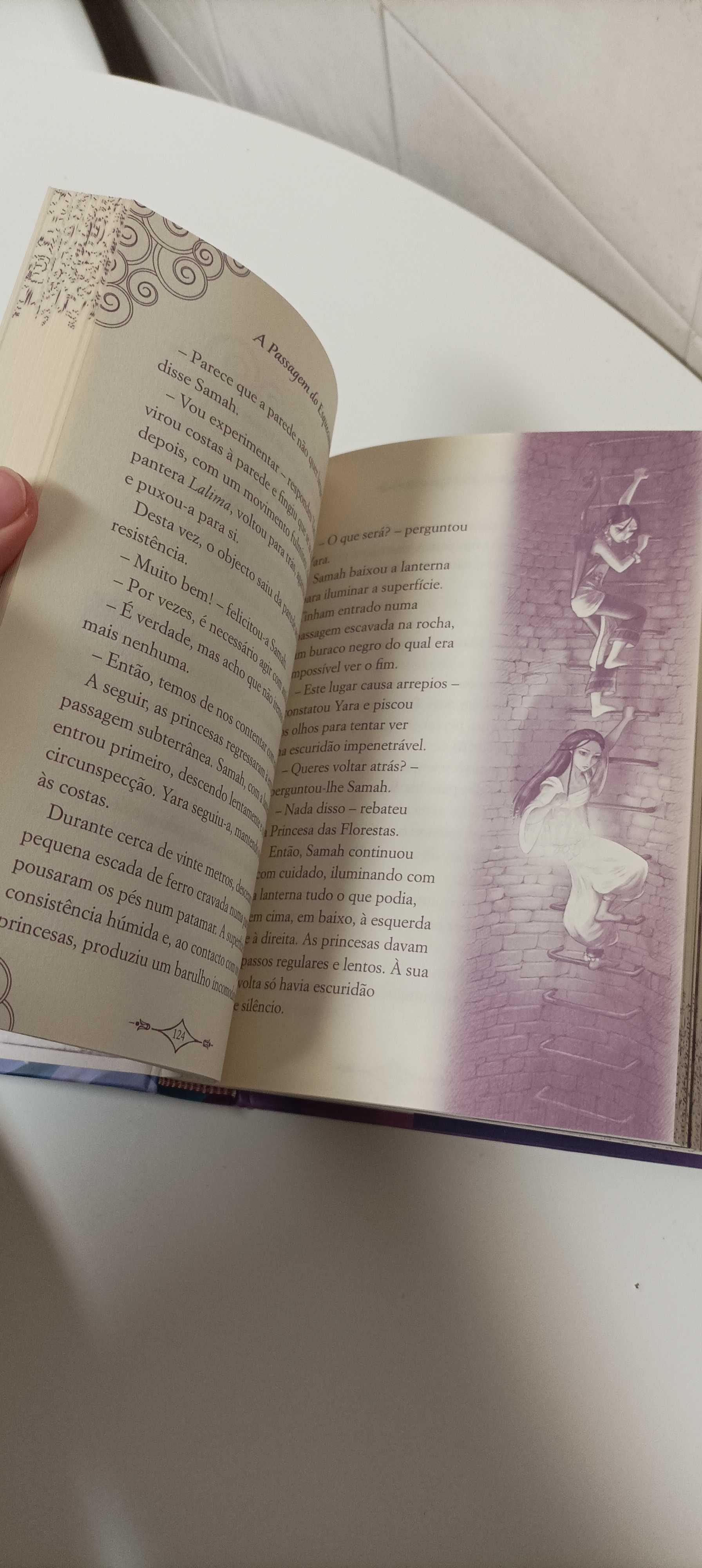 Livro de fantasia como Novo