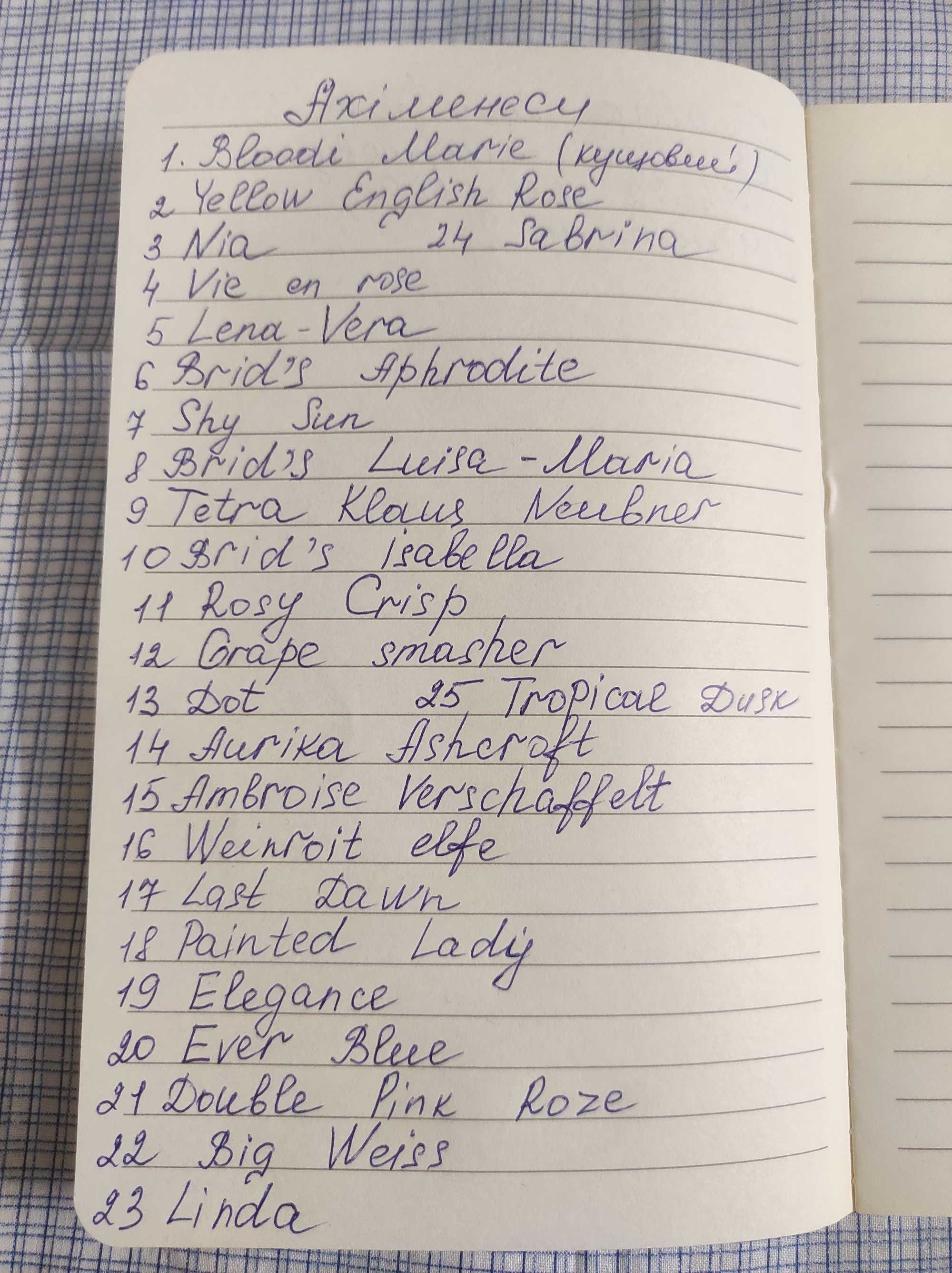 Ахіменеси, кімнатні квіти