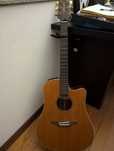 Guitarra Takaminé EG-10C + Capo