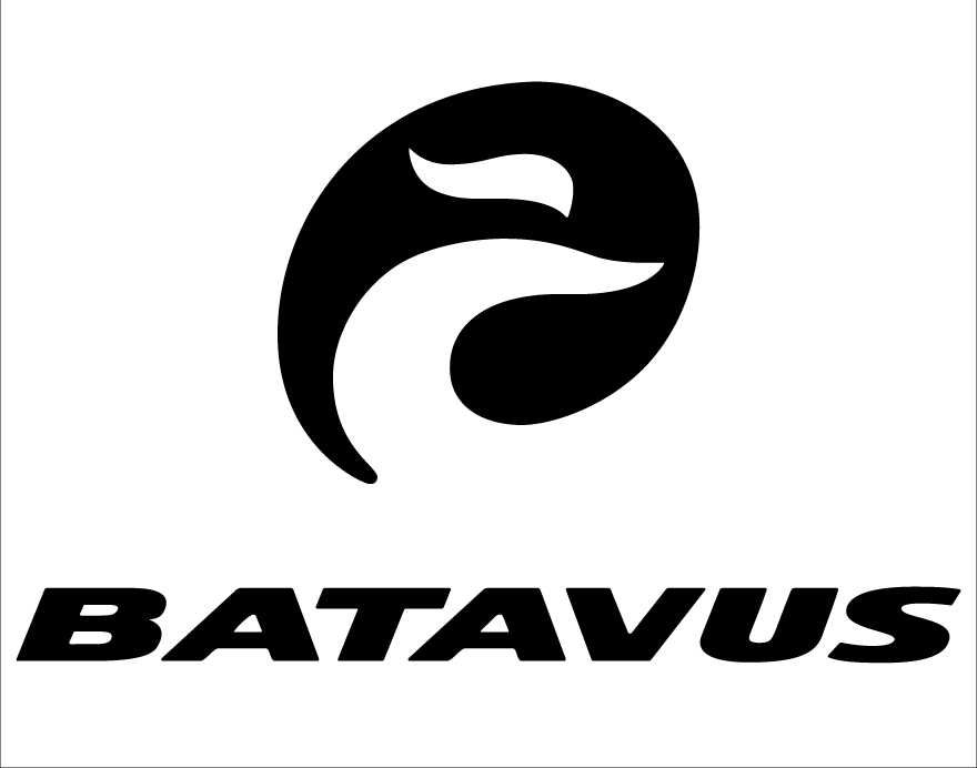 BATAVUS naklejki zastępcze na rower komplet 6 sztuk