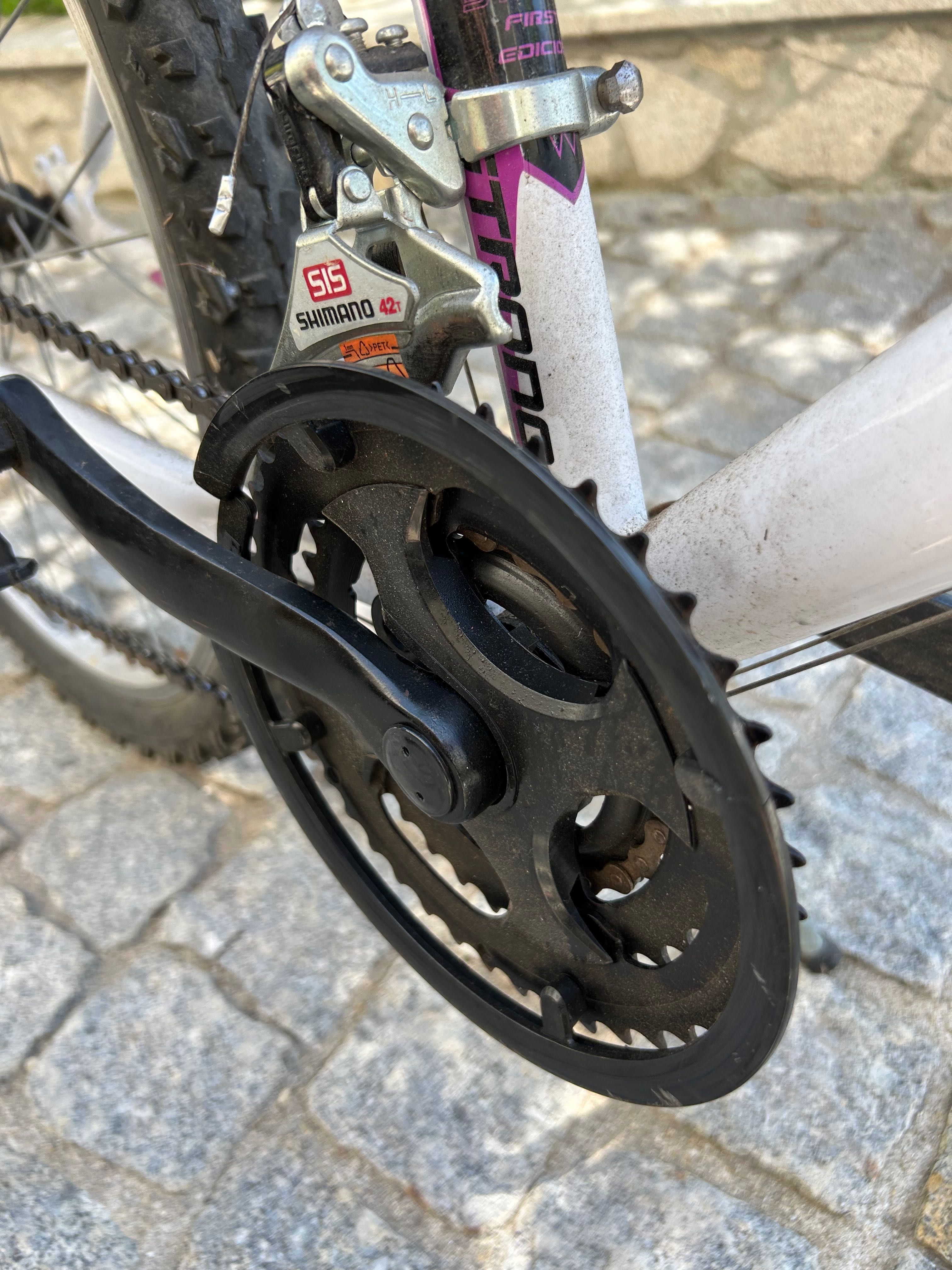 Bicicleta crianca