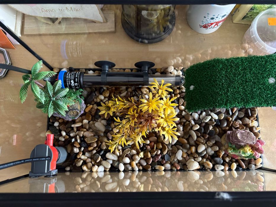 Aquário com todos os acessórios