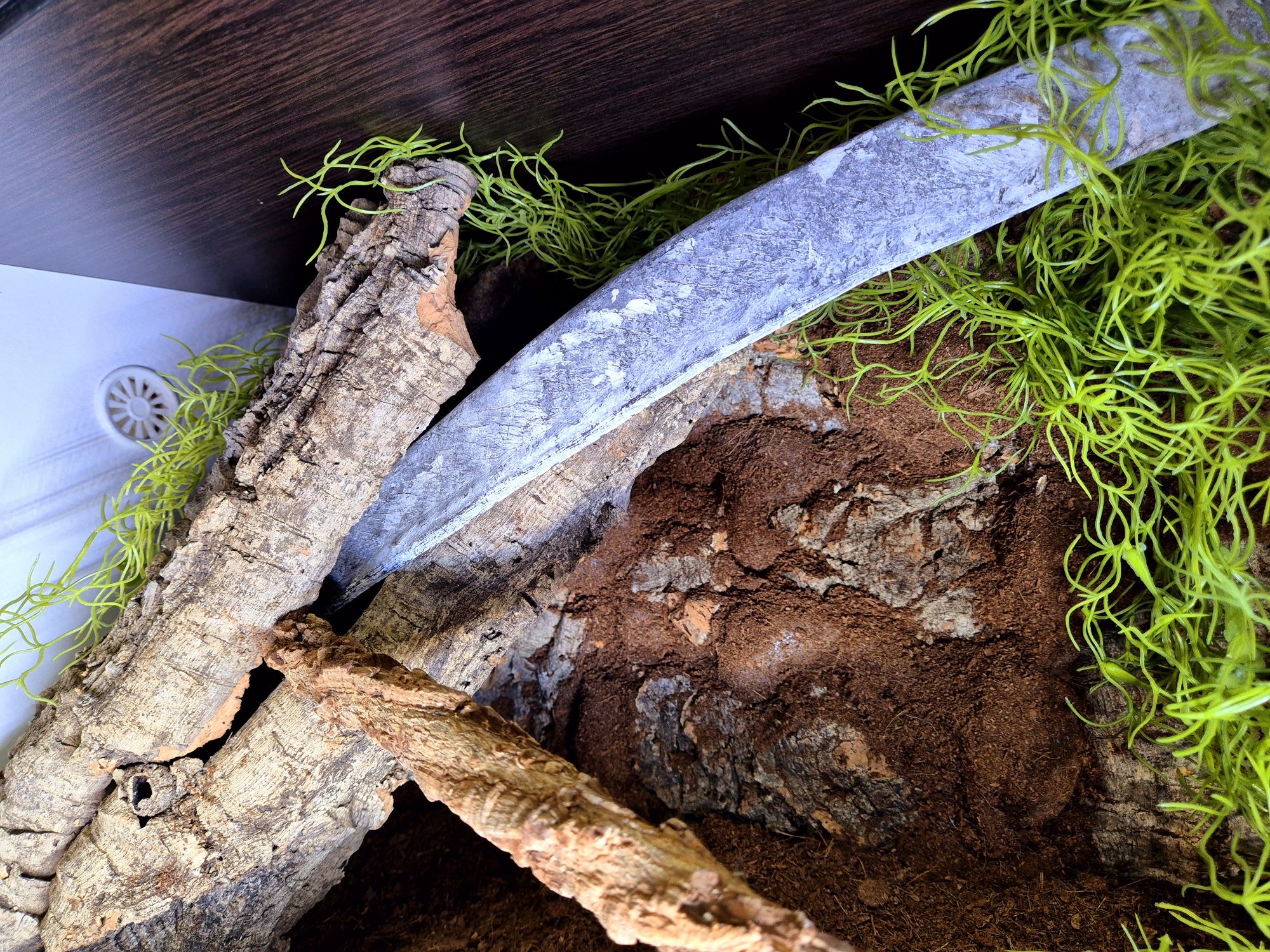 Terrarium 60x40x40 gekon wąż  wysylka
