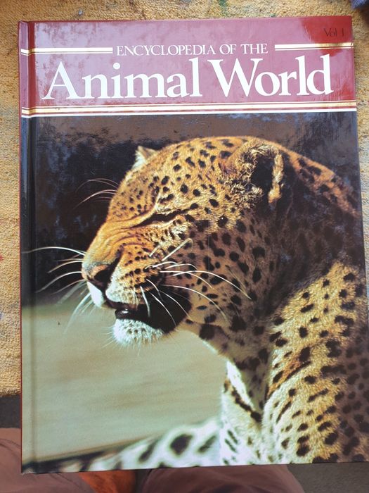 Coleção livros antigos