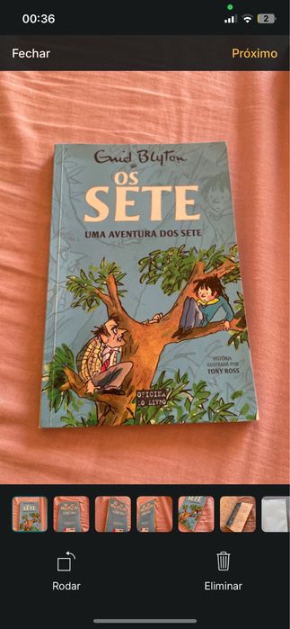 Livro “Os Sete Uma aventura dos Sete”