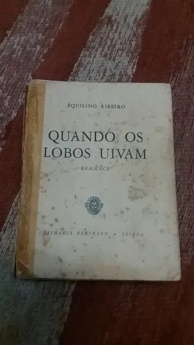 livros - historia, socio polLitica literatura, programação - educação