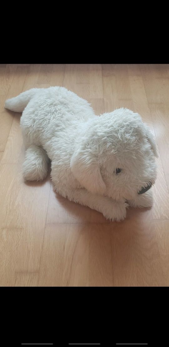 Cão de peluche (80 cm)