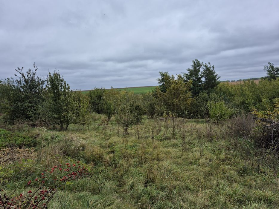 Продам будинов в селі Старому Острополі