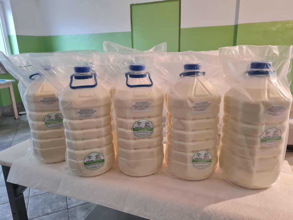 Mleko od krów na wypasie simentalskich