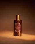 (200 ML) Difusor Em Spray GINGERBREAD Zara Home NOVO