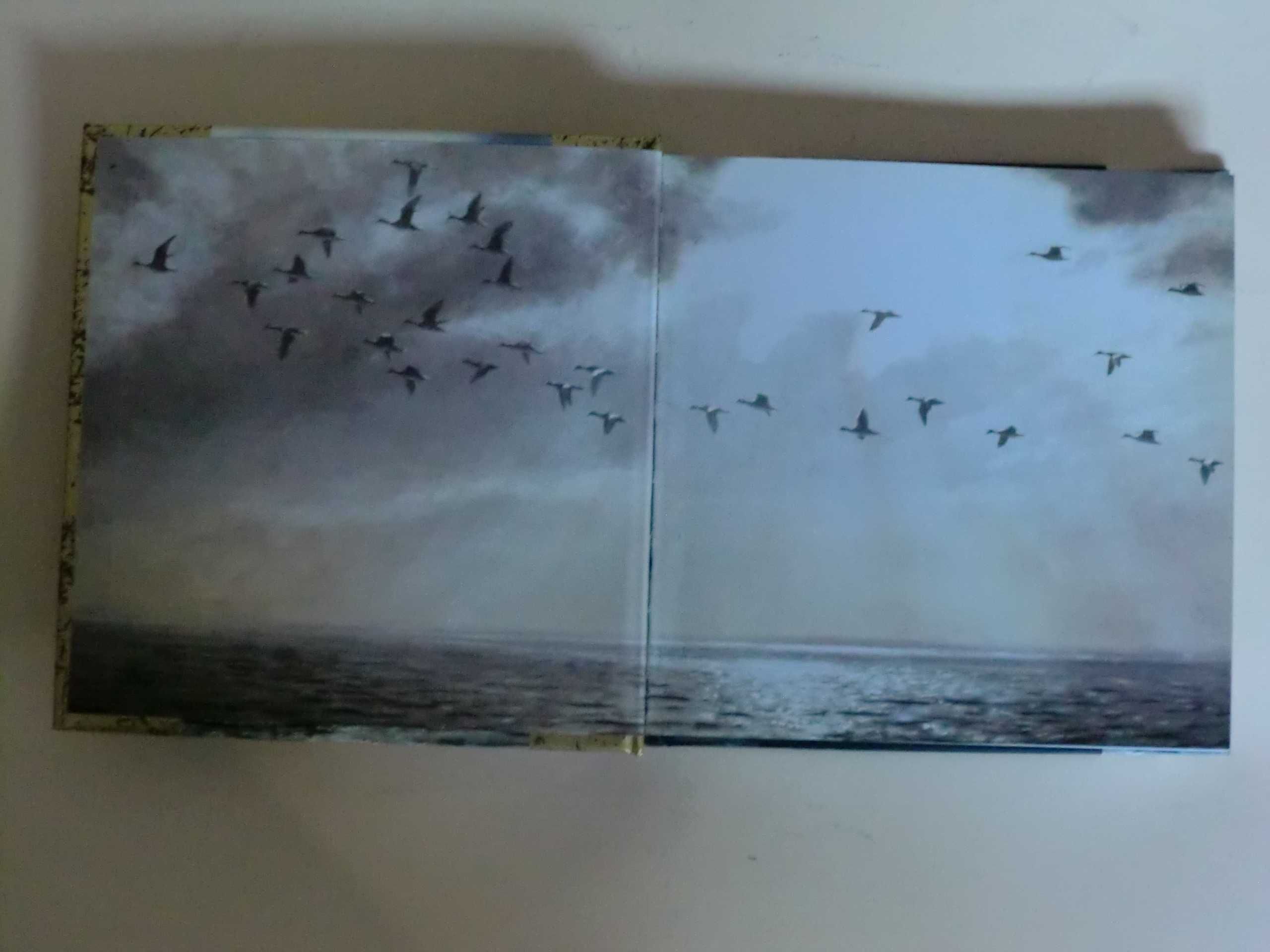 Da Felicidade
de Helen Exley-Giftbook