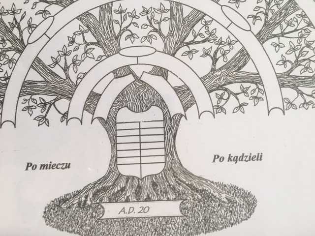 Drzewo genealogiczne w ramie