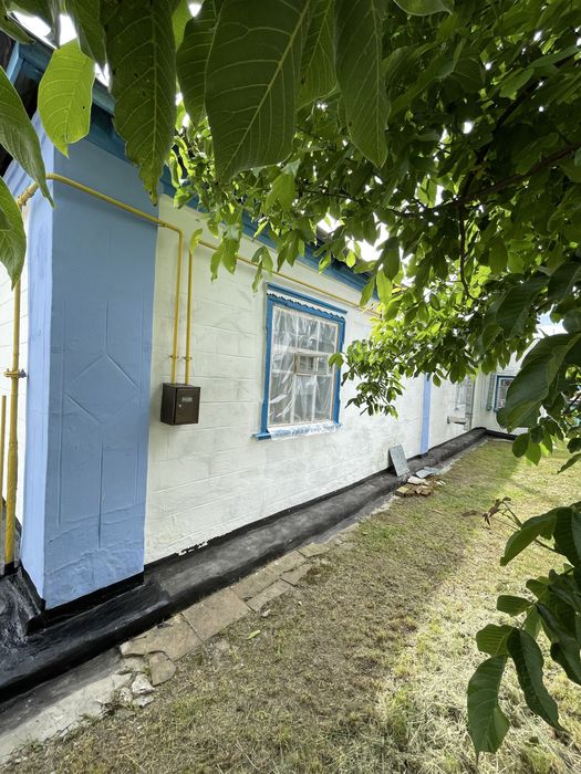 Продаж будинку в селі Лука(Білоцерківський район).