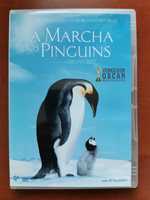 DVD Documentário | A Marcha dos Pinguins