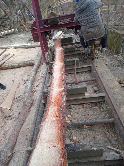 Стрічкова пилорама з колуном.