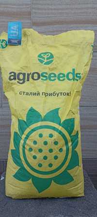 Продам насіння соняшника сорт "ЕС Бамбіно"